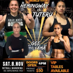 zzzhemingway-vs-tuteru-poster380