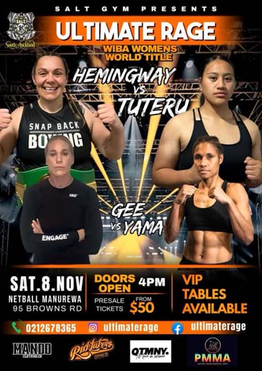 zzzhemingway-vs-tuteru-poster380