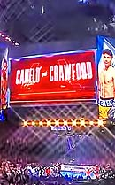 zzzzzcanelofight130